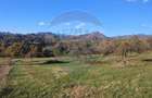 Teren zona superba Șișești - 2