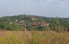 Loc de casa -Sistarovat - 4