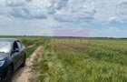 Teren 6,26 ha lângă DEx12 Pitești - 12