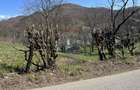 Teren 1,106mp Baia Mare / Strada Firiza - 12