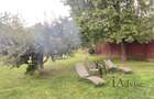 Vanzare Casa Caristian - 13