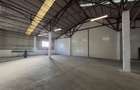 Hale renovate Calea Baciului / 2 x 530 mp / 3 x 400 mp - 3