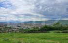 Teren intravilan, 1000mp, Aleea Trifoiului - 1