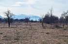 Teren intravilan pentru Investitie!!!,933mp in Ghimbav, 50 euro/mp neg - 3