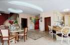 Iancu Nicolae, vila cu 5 camere de vanzare, 356 mp construiti - 4