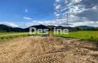 Teren de vanzare Alexandru cel Bun 20.000 Euro 735mp - 14