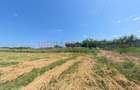 Racari - Teren - 13659 mp - intravilan - constructii - 2