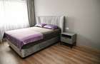 Apartament 2 Camere Urban Plaza - 5