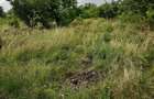 Teren intravilan Fundulea, 2750/25, utilități, ieftin, aproape de balta, 18500 e - 5