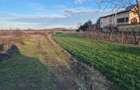 Vand teren in Tintava cu deschidere la PADURE (Gradinari, Giurgiu) - 1
