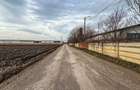 Teren industrial, intravilan, cu utilitati, Stupini, 11.600 mp - 5