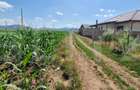 Teren de vânzare, partial intravilan – Izvor, Tărlungeni – 10.900 mp - 3