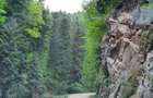 teren de vanzare la munte pentru  cabana - 6