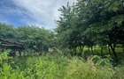 Teren intravilan – 939 mp, Tagsoru Nou - 4
