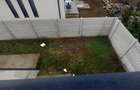 Casă individuală zona București-Ilfov în Măgurele aproape de pădure - 38