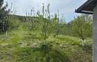 teren construibil cu livada pomi,sat Hasag,jud.Sibiu,comision 0 - 7
