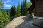 CABANA IN ZONA SINAIA - TEREN 550MP - 4