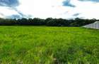 Teren intravilan cu panoramă superbă, 500 mp, proiect autorizat
