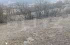 Teren intravilan 4300 mp apa si curent In Ampoita - 1