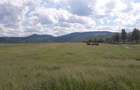 Teren intravilan 8900 mp,Dumbrava Rosiejud Neamt - 7