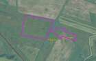 Teren - 32.000mp, Borosneu Mare - 1