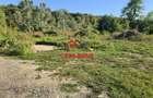 Teren intravilan in Cornu (Ph)--1490 mp--29e - 1