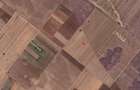 Teren Extravilan In Rate Primaverii Com. Berceni | 6304mp | #EG44 - 3