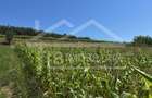 Teren, 1734mp,  intravilan, zona Remetea - 3