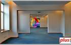 Cladire mixta zona Ultracentrala - 1089 mp #pus-imo.ro - 5