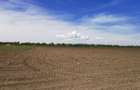 TEREN AGRICOL DE VANZARE - BOD - BRASOV 4,5 HA - 5