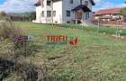 Teren 3000 mp de vanzare Cetate la asfalt cu toate utilitatile - 1
