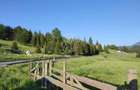 Teren PIATRA FANTANELE - 11.800 mp- ideal investitie, pensiune, hotel - 1