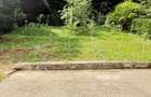 ZONA PARC - Valea Rosie (sus) casuta + vila cu teren 834mp finisate! - 13