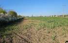 10.100mp TEREN CONSTRUCȚII INTRAVILAN POTIGRAFU, DESCHIDERE 31m direct la DN1 - 9