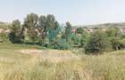 Teren intravilan, 3000 mp, în Corușu! - 5