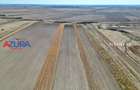 Teren agricol, 5HA, comasat, drum acces, Cateasca - 2