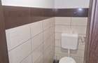 Spațiu cu vitrina ultracentral, Cisnadie - 12