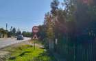 Proprietate completă: casă, terenuri și anexe în Valea Voievozilor - 3