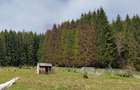 Teren intravilan 2500 mp in Valea Doftanei - 2