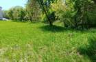 Casa noua tip vila cu 6 apartamente, P+2E, 1500 mp teren, Buna Ziua - 1
