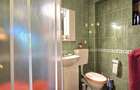 CABANA DE VANZARE | 6 CAMERE | TEREN 1.761 MP | IZLAZ, ARIESENI - 8