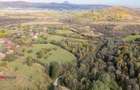 Teren intravilan în Zărnești, zona Tohanita, cu pădurice și parau curg - 3