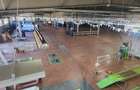 Showroom auto, construcții 6500 mp, teren 31.350 mp, deschidere 176 ml la DN 1! - 19