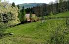 Teren Extravilan 23000 mp-potential turistic Valea Doftanei  8 euro/mp - 4