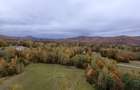 Teren ideal recreere/conectare cu natura/zona Fagaras/achitare in rate - 2