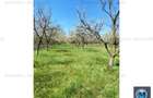 Teren intravilan de vanzare in Baicoi, 4036 mp #15948 - 4
