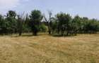 Teren Tismana - sat Gornovita - 3