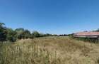 RECO Teren intravilan in Paleu la doar  22euro mp - 2