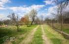 Casă cu teren generos 1.944 mp, Măgulicea, Vârfurile - 14