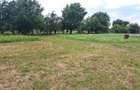 Teren intravilat| Zona rezidentila 1156 mp-TURNISOR - 3